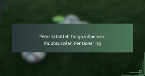 Peter Schöttel: Tidiga influenser, Klubbsuccéer, Pensionering