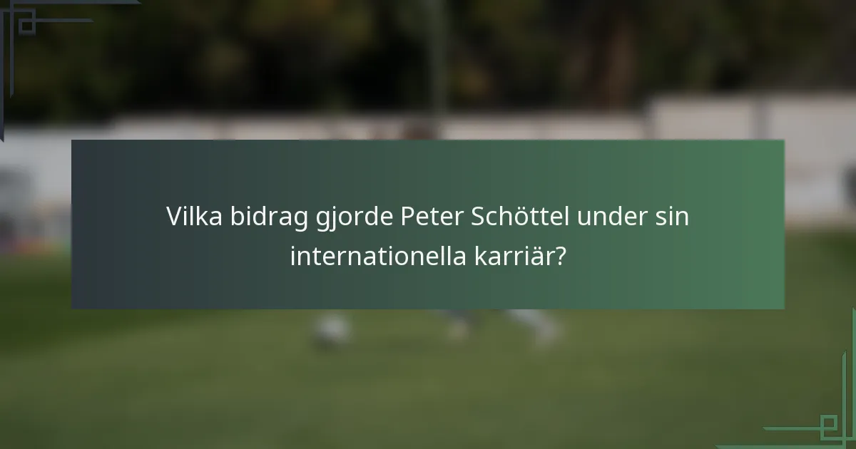 Vilka bidrag gjorde Peter Schöttel under sin internationella karriär?